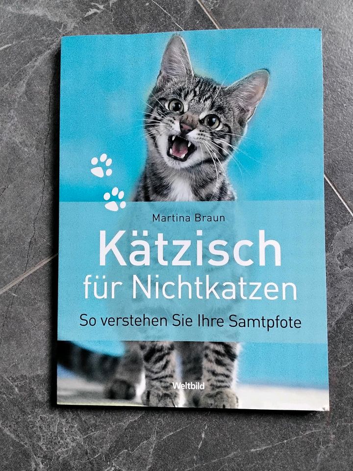 Kätzisch für Nichtkatzen in Schortens