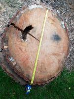 Baumscheibe Eiche plan geschnitten und trocken 90mm stark Niedersachsen - Rinteln Vorschau