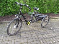 PROPHETE CARGO E-Bike 3R  Dreirad Dortmund - Lichtendorf Vorschau