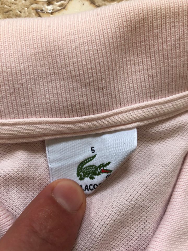 Lacoste t-Shirt XL in Hamburg