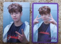 WTT/WTS Stray Kids Seungmin Miroh PCs Thüringen - Schmalkalden Vorschau