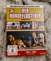 Cesar Millan- Der Hundeflüsterer, Staffel 1 - 6 DVDs Bayern - Tirschenreuth Vorschau