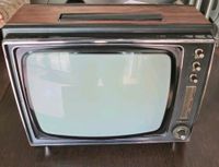 Vintage Fernseher Essen - Essen-Stadtwald Vorschau