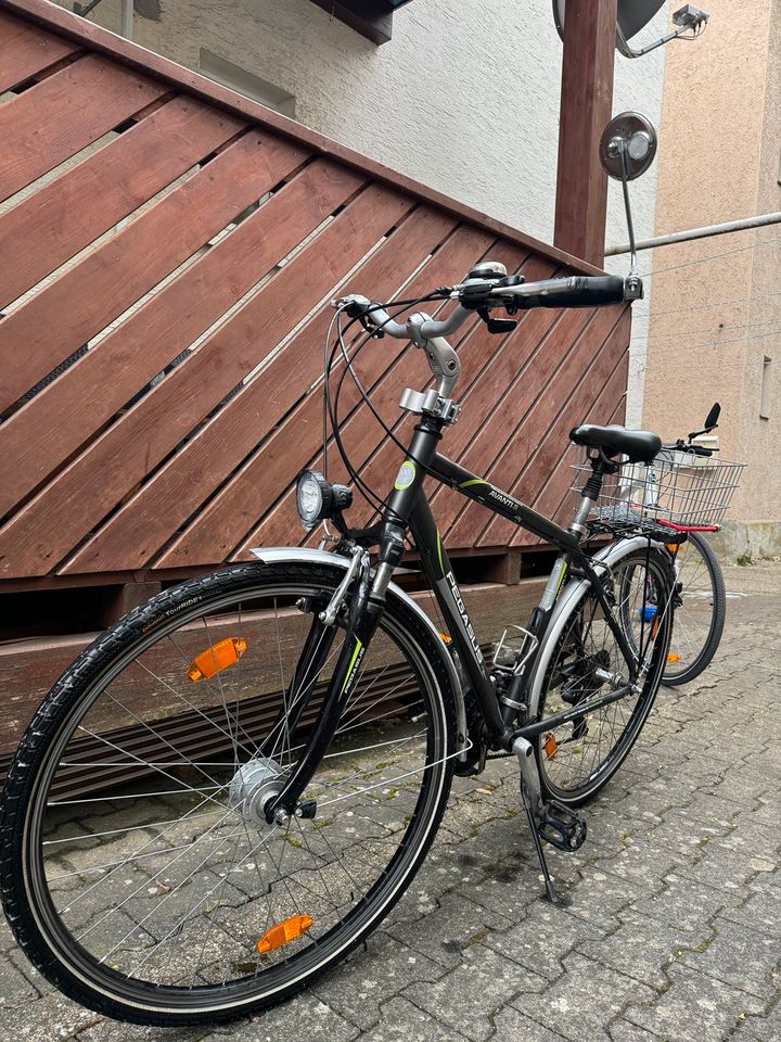 Fahrrad Herren Pegasus Avanti S in Elchingen