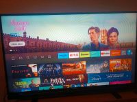 Grundig 50 Zoll FULL HD TV Niedersachsen - Delligsen Vorschau