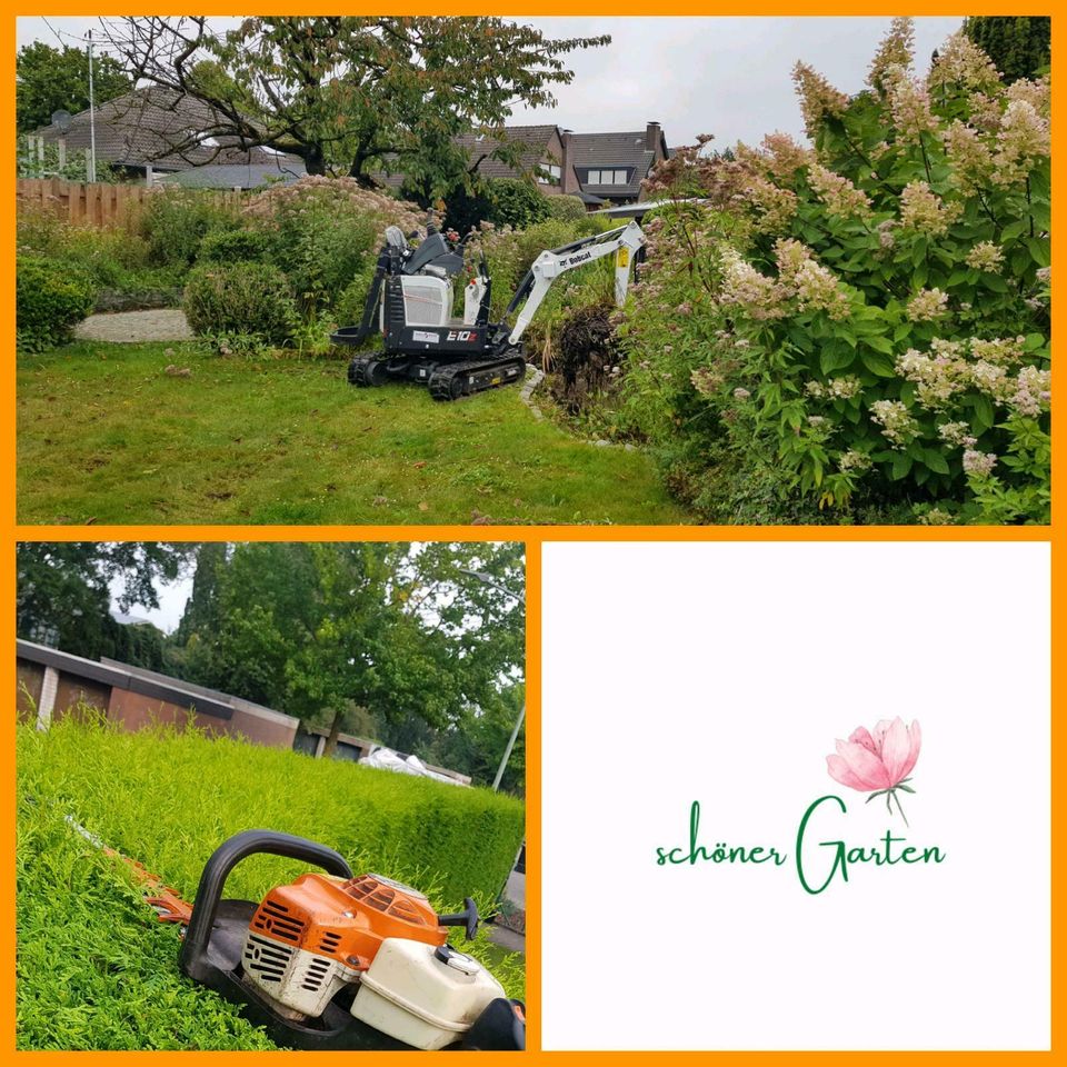 Garten Heckenschnitt schneiden Grünschnitt Sträucher Gärtner in Kleve