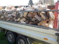 Brennholz 3 Schüttraummeter Fichte trocken Nordrhein-Westfalen - Waldbröl Vorschau
