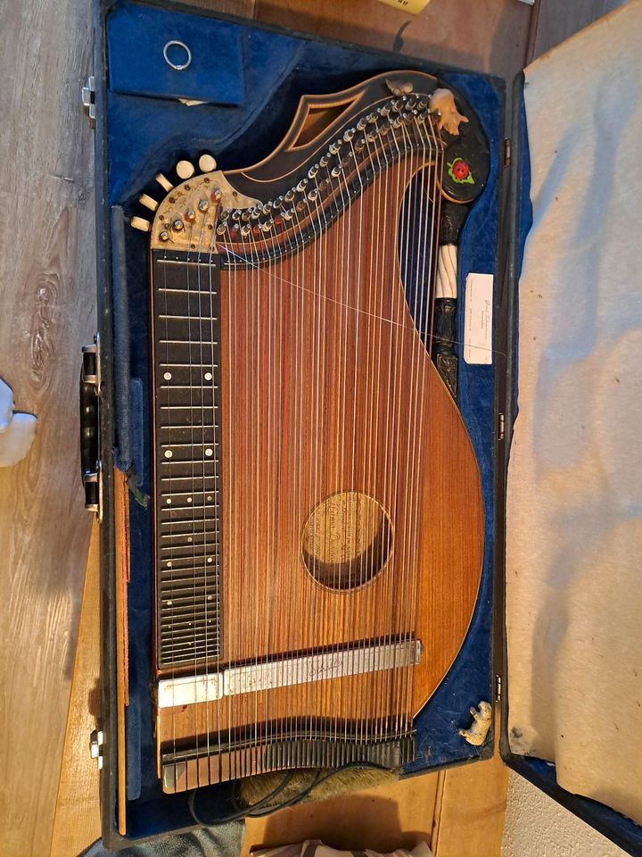 Zither Harfenzither in Velden