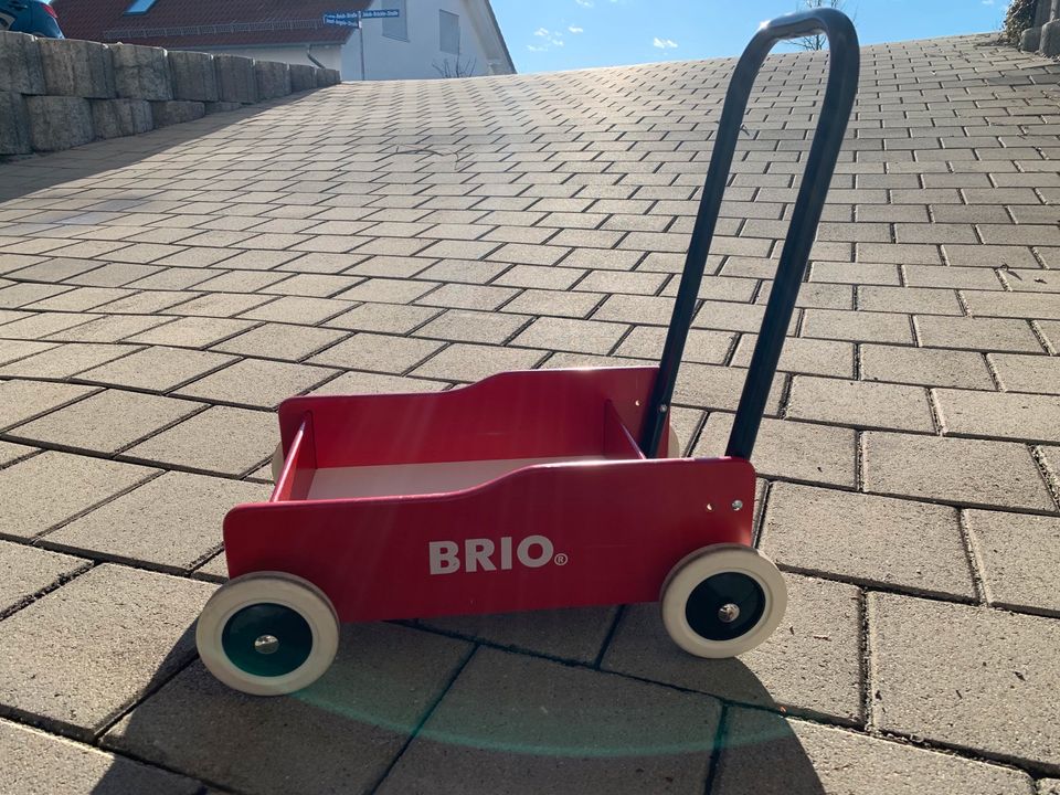 Lauflernwagen Brio in Biberach an der Riß