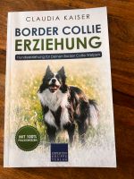 Hundebuch Border Collie Rheinland-Pfalz - Laubach (Hunsrück) Vorschau