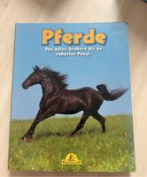 Pferdebuch für Kinder Brandenburg - Werben (Spreewald) Vorschau