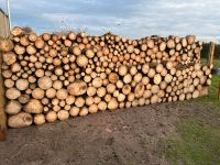 Brennholz zum verkaufen Plattenburg - Zernikow Vorschau