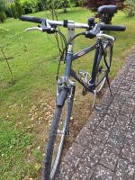 Fahrrad Herren -Trekking- Kreis Ostholstein - Eutin Vorschau