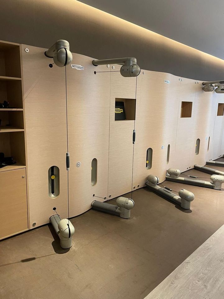 Technogym Kinesis Wand, Kinesis Wall in Erbach