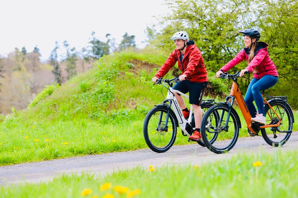 E-Bike/ Waldbike E-MTB QUERCUS SUV - CARBON FULLY/ porcini grey in Lünen