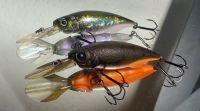 Megabass Bait-X 3/8 wobbler Rostock - Kröpeliner-Tor-Vorstadt Vorschau