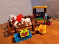 Lego Duplo Sammlung (über 100 Teile) Hessen - Pfungstadt Vorschau