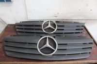 Mercedes Vaneo W414 Kühlergrill A4148800085 Schwarz mit Emblem Nordrhein-Westfalen - Herford Vorschau