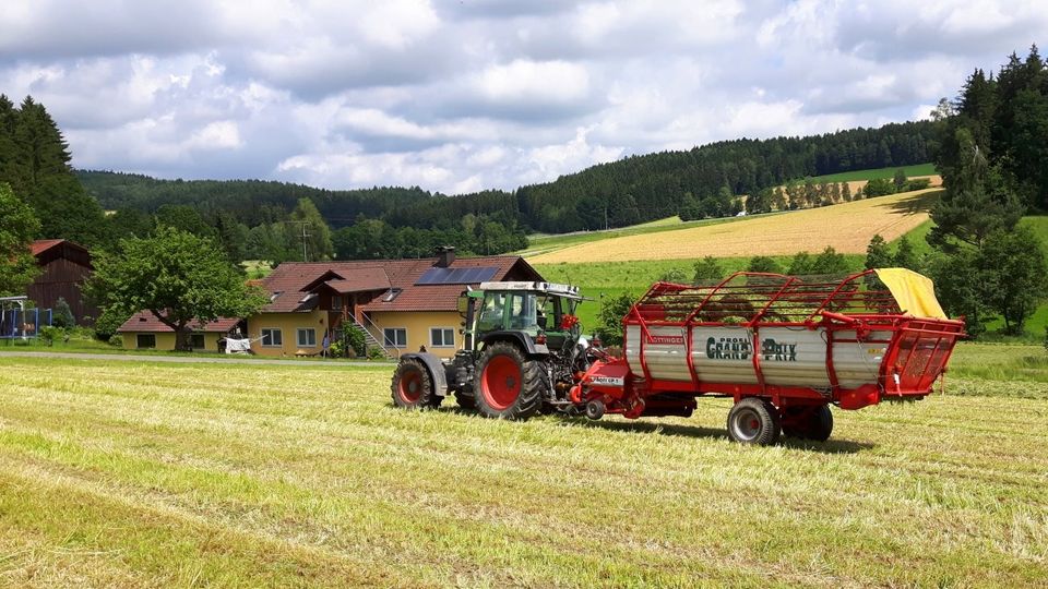 Bauernhofurlaub Bayerischer Wald Familienurlaub am Bauernhof in Michelsneukirchen