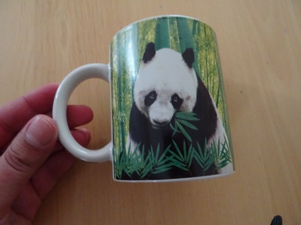 Tasse NEU & UNBENUTZT Souvenir mit Panda-Bär Ocean Park Hongkong in Benningen