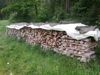 Trockenes Kaminholz Brennholz Feuerholz Buche 1m Bayern - Ursensollen Vorschau