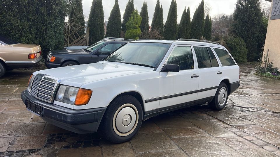 Mercedes-Benz 250 TD W124 Komb, Klima, Standheizung, TÜV neu in Dortmund