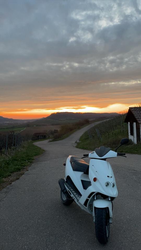 Malaguti Phantom f12 gleicher Motor wie Yamaha Aerox in Vaihingen an der Enz