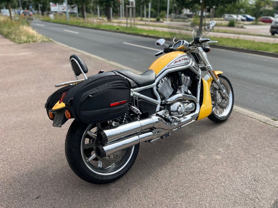 Harley Davidson VRSCR Street Rod in Lutherstadt Wittenberg