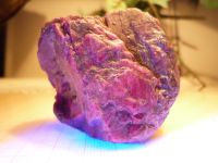 Großer Rubin Myanmar natürlich 142 Gr. Auflösung Mineralien Baden-Württemberg - Eschelbronn Vorschau