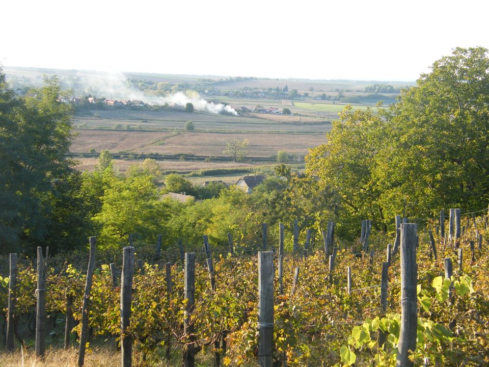 Komplett renoviertes ungarisches Landhaus inmitten von Weinbergen in Gangkofen