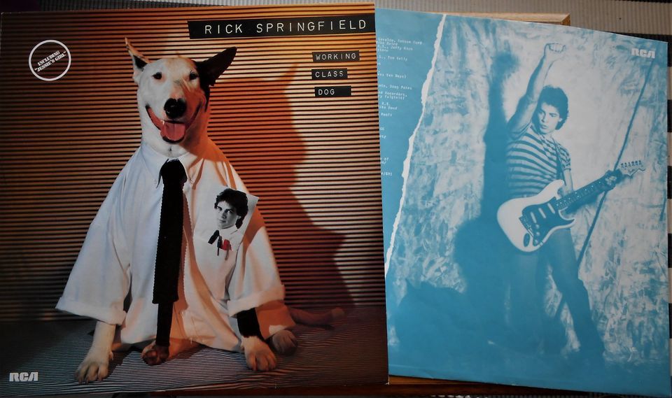 Rick Springfield - Original LP Sammlung - 6 Platten - 1981 - 1985 in Wiesbaden