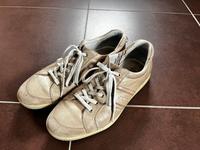 Ecco Schuhe  - Größe 44 Bayern - Sünching Vorschau