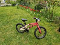 Ollo Kinderfahrrad 16 Zoll pink Brandenburg - Teltow Vorschau