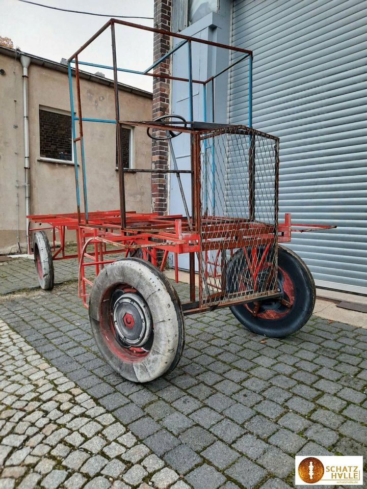 AKTION: LKW_Design-Rankhilfe_Pflanzgestell_Skulptur_Gartendeko in Lichtenstein