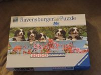 Puzzle Ravensburger 1000 Teile Panorama Bernersennenhundewelpen Baden-Württemberg - Freiburg im Breisgau Vorschau