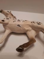 SCHLEICH Knabstrupper Hengst Bayern - Sigmarszell Vorschau