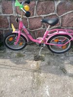 Puky Fahrrad pink 16 zoll Sachsen-Anhalt - Südliches Anhalt Vorschau