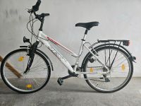 Damen Fahrrad Alu Rex Nordrhein-Westfalen - Hennef (Sieg) Vorschau