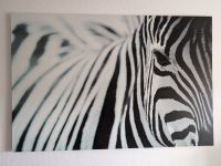 Leinwand Zebra  von IKEA Kiel - Suchsdorf Vorschau