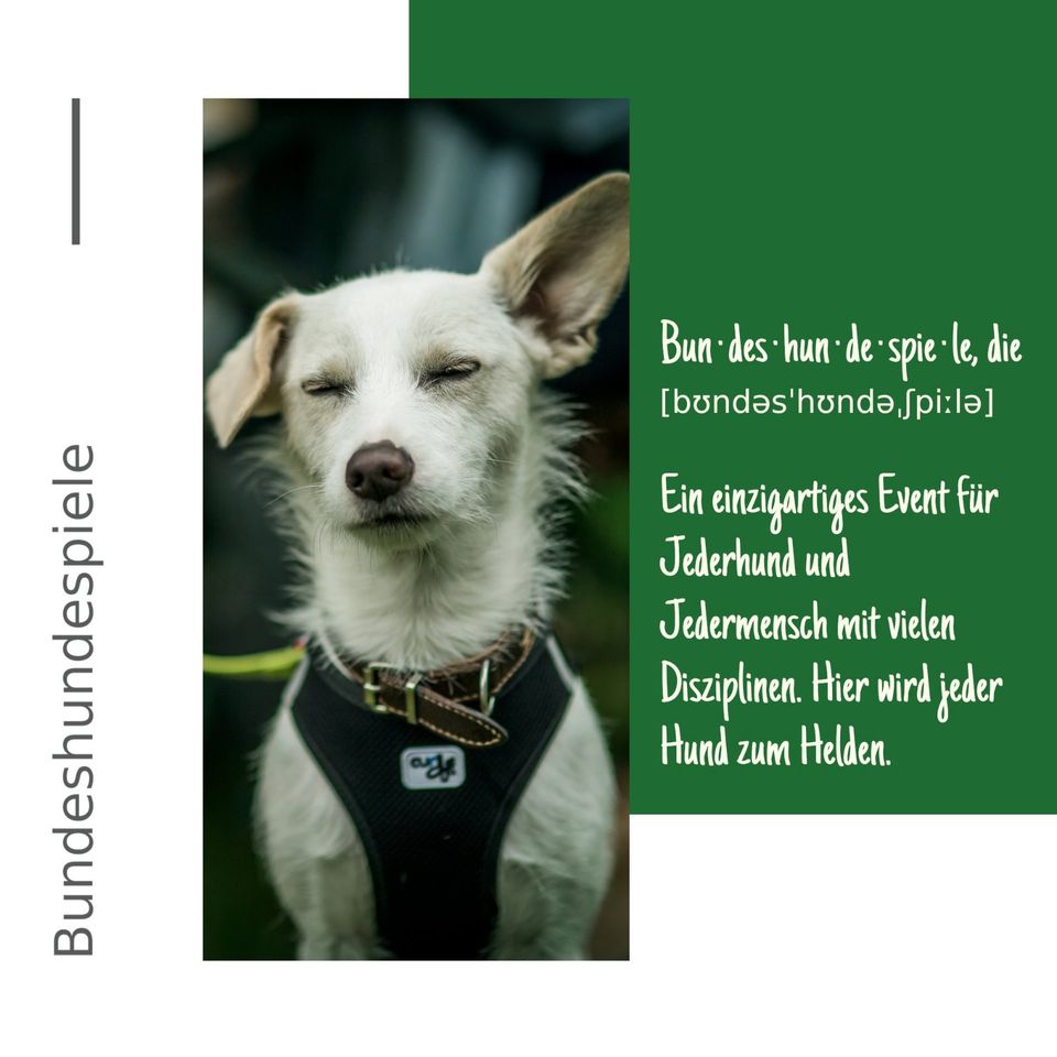 20 % Rabatt auf Tickets Bundeshundespiele 2024 - Du und dein Hund in Hannover