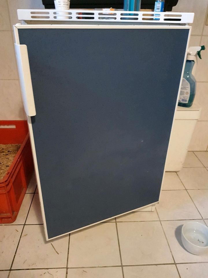 Pantry Küche blau mit Kühlschrank und 3x Hängeschrank in Auetal