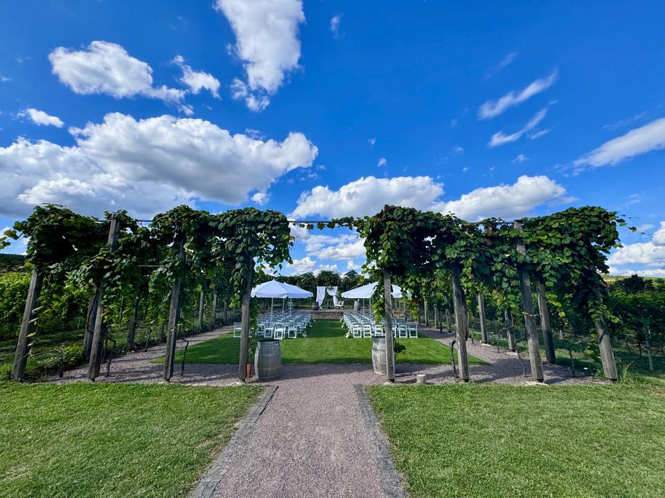 WEDDING Stuhl Hochzeit Trauung Feier -> zur Miete für Ihr Fest in Ludwigshafen