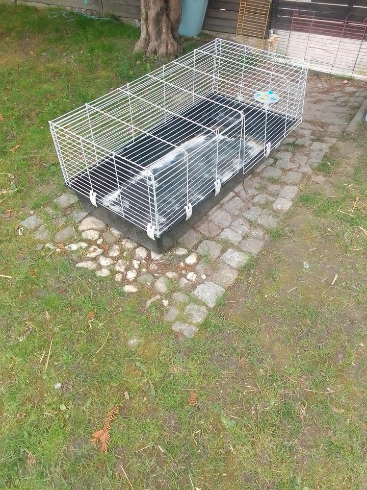 Hasen Meerschweinchen Käfig in Suthfeld 