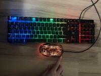 LED Keyboard Tastatur und Maus Nordrhein-Westfalen - Ratingen Vorschau