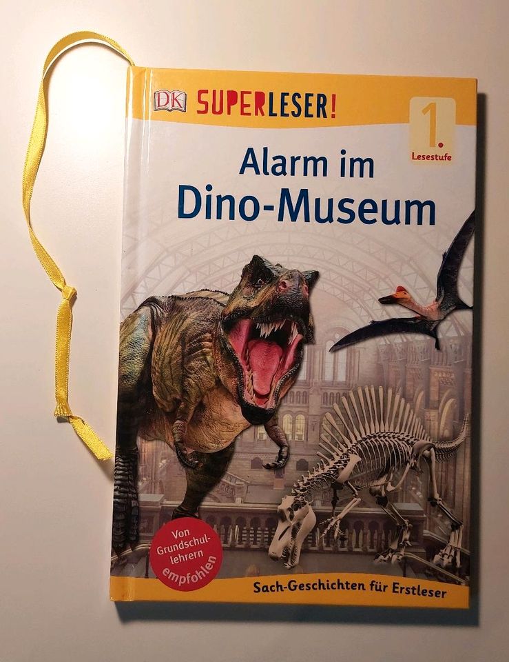 Superleser Alarm im Museum in Hilzingen