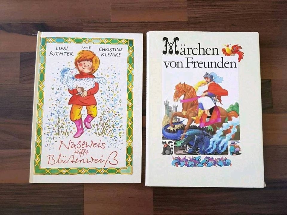 Buch Alltägliche Dinge, Chronik, Don Quijote, Pipi Langstrumpf in Parchtitz