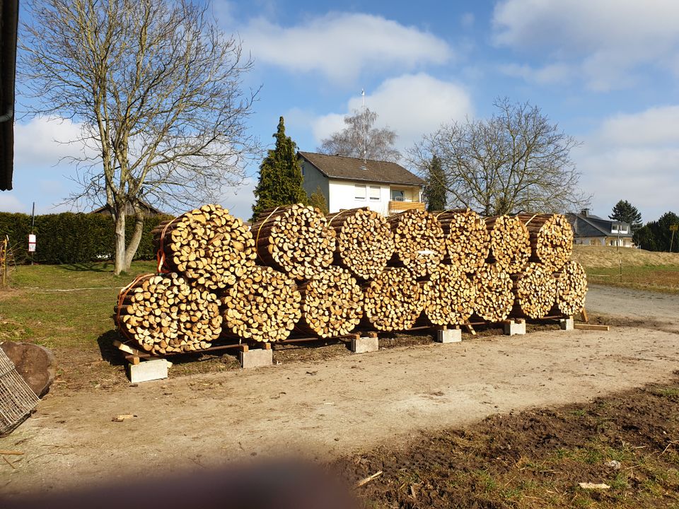 Regionales Nachhaltiges Brennholz Kaminholz Feuerholz in Neustadt b.Coburg