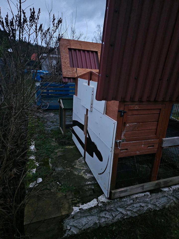 HASEN UND Meerschweinchen Stall in Rosenow