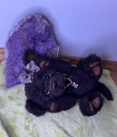 Hallows eve Charlie Bears mohair Teddy Hund Puppe sammeln Nordrhein-Westfalen - Ense Vorschau