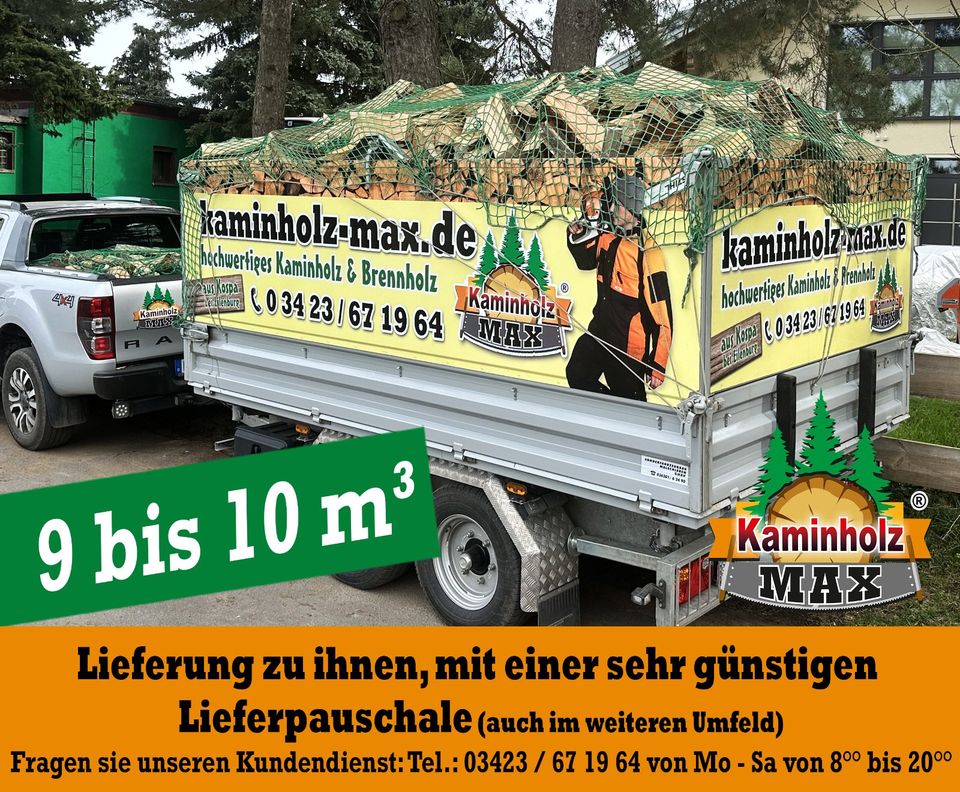 ab 4 m³ bis 35 m³ -  bis 40 Km um Halle Merseburg Petersberg Wettin Kaminholz, Brennholz, Feuerholz, Holzvergaser, Kamin, Holz, Feuer, Brenn in Halle